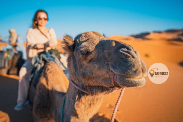 4 giorni da Errachidia a Marrakech passando per il deserto, Tour deserto da Errachidia a Marrakech 4 giorni, tour del deserto da Errachidia.